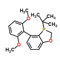 3-(tert-butyl)-4-(2,6-dimethoxyphenyl)-2,3-dihydrobenzo[d][1,3]oxaphosphole Structure
