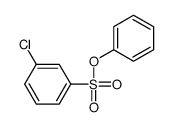 1-chloro-3-phenoxysulfonyl-benzene结构式
