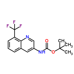 tert-butyl 8-(trifluoromethyl)quinolin-3-ylcarbamate structure
