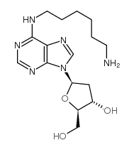 n6-(6-aminohexyl)-2'-deoxyadenosine picture