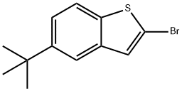 2-溴5-叔丁基苯并噻吩图片