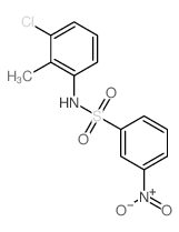 Benzenesulfonamide,N-(3-chloro-2-methylphenyl)-3-nitro- structure