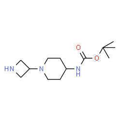 [1-(3-AZETIDINYL)-4-PIPERIDINYL]-CARBAMIC ACID 1,1-DIMETHYLETHYL ESTER结构式