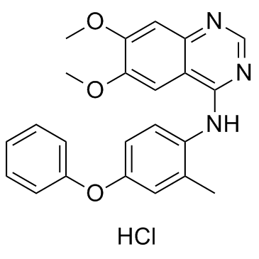6,7-二甲氧基-N-(2-甲基-4-苯氧基苯基)喹唑啉-4-胺 盐酸盐结构式