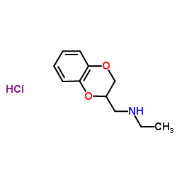 N-(2,3-dihydro-1,4-benzodioxin-2-ylmethyl)-N-ethylamine hydrochloride结构式