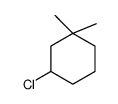 3-chloro-1,1-dimethylcyclohexane结构式