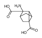 Tricyclo[2.2.1.02,6]heptane-1,3-dicarboxylic acid, 3-amino-, (1R,2S,3R,4R,6R)- (9CI) structure