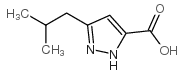 3-(2-Methlypropyl)-1H-pyrazole-5-carboxylic acid structure