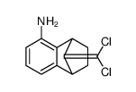 9-(Dichloromethylene)-1,2,3,4-tetrahydro-1,4-methanonaphthalen-5-amine Structure