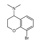 8-bromo-N,N-dimethyl-3,4-dihydro-2H-chromen-4-amine结构式
