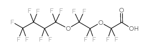 2,2-difluoro-2-[1,1,2,2-tetrafluoro-2-(1,1,2,2,3,3,4,4,4-nonafluorobutoxy)ethoxy]acetic acid结构式