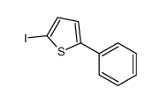 2-iodo-5-phenylthiophene structure