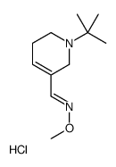 (E)-1-(1-tert-butyl-3,6-dihydro-2H-pyridin-5-yl)-N-methoxymethanimine,hydrochloride Structure