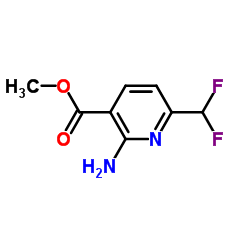 Methyl 2-amino-6-(difluoromethyl)nicotinate结构式