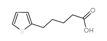 5-(噻吩-2-基)戊酸结构式
