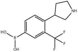 (4-(pyrrolidin-3-yl)-3-(trifluoromethyl)phenyl)boronic acid structure