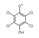 34666-24-5 structure