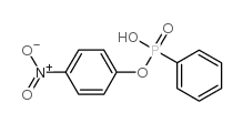 4-nitrophenyl phenylphosphonate structure