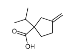 3-methylene-1-isopropylcyclopentanecarboxylic acid结构式