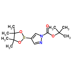 1-Boc-吡唑-4-硼酸频哪醇酯结构式
