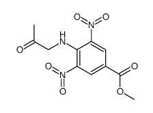 methyl 3,5-dinitro-4-(2-oxopropylamino)benzoate结构式