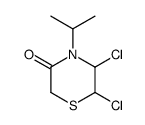 5,6-dichloro-4-propan-2-ylthiomorpholin-3-one结构式