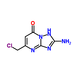 2-Amino-5-(chloromethyl)[1,2,4]triazolo[1,5-a]pyrimidin-7(1H)-one structure