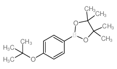 4-(tert-Butoxy)phenylboronic Acid Pinacol Ester Structure