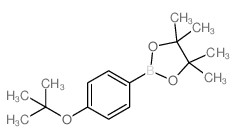 4-(叔丁氧基)苯硼酸频哪醇酯结构式