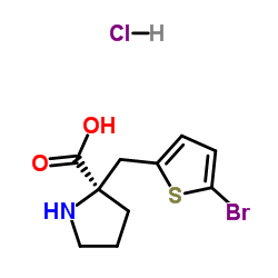 (R)-ALPHA-(5-BROMO-2-THIOPHENYLMETHYL)-PROLINE-HCL picture