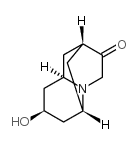 内-六氢-8-羟基-2,6-亚甲基-2H-喹嗪-3(4H)-酮结构式