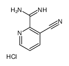 3-cyanopyridine-2-carboximidamide,hydrochloride结构式