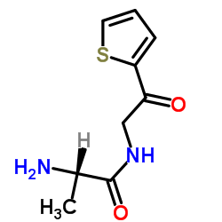 N-[2-Oxo-2-(2-thienyl)ethyl]alaninamide结构式