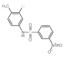 Benzenesulfonamide,N-(3-chloro-4-methylphenyl)-3-nitro-结构式
