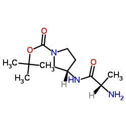 2-Methyl-2-propanyl (3S)-3-(alanylamino)-1-pyrrolidinecarboxylate结构式