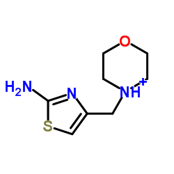 4-(吗啉甲基)噻唑-2-胺图片