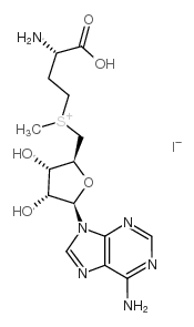 3493-13-8结构式