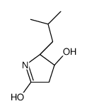 (4R,5R)-4-hydroxy-5-(2-methylpropyl)pyrrolidin-2-one Structure