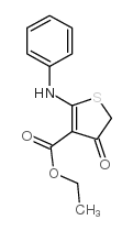 ETHYL 2-ANILINO-4-OXO-4,5-DIHYDRO-3-THIOPHENECARBOXYLATE picture
