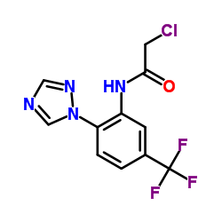 2-Chloro-N-[2-(1H-1,2,4-triazol-1-yl)-5-(trifluoromethyl)phenyl]acetamide结构式
