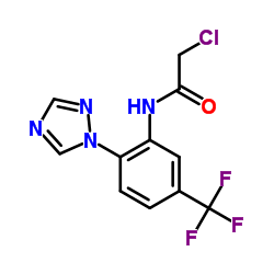 2-Chloro-N-[2-(1H-1,2,4-triazol-1-yl)-5-(trifluoromethyl)phenyl]acetamide picture