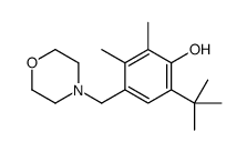 6-tert-butyl-4-(morpholinomethyl)-2,3-xylenol结构式