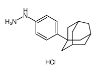 Hydrazine, (4-tricyclo[3.3.1.13,7]dec-1-ylphenyl)-, hydrochloride Structure