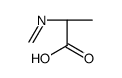 (2S)-2-(methylideneamino)propanoic acid Structure