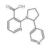 2-(2-pyridin-4-ylpyrrolidin-1-yl)pyridine-3-carboxylic acid Structure