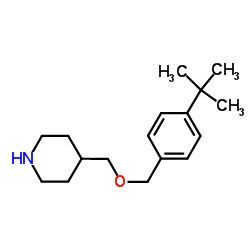 4-({[4-(2-Methyl-2-propanyl)benzyl]oxy}methyl)piperidine结构式