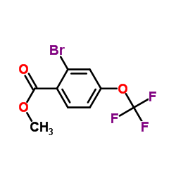 2-Bromo-4-(trifluoromethoxy)benzoic acid methyl ester Structure