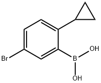 (5-bromo-2-cyclopropylphenyl)boronic acid图片