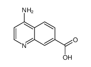 4-aminoquinoline-7-carboxylic acid structure