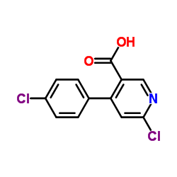 6-chloro-4-(4-chlorophenyl)pyridine-3-carboxylic acid Structure